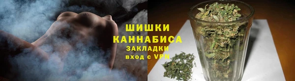 крисы Белокуриха