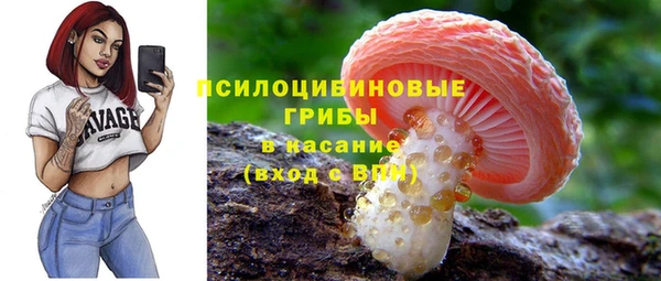 мет Богданович