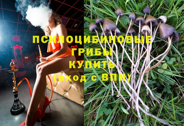 гидропоника Бородино