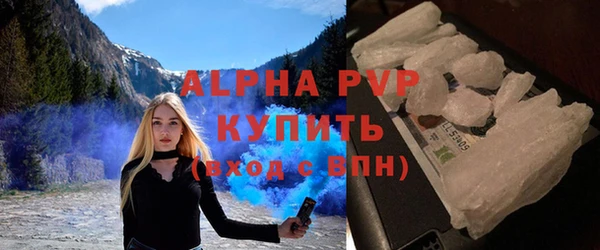 крисы Белокуриха
