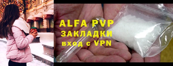 крисы Белокуриха